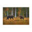 No Frame Print on Canvas-2115114609