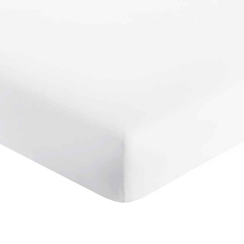 Lieselotte Extra Deep 100% Microfiber Brushed 40 cm Fitted Sheet, Kingsize (5'), White