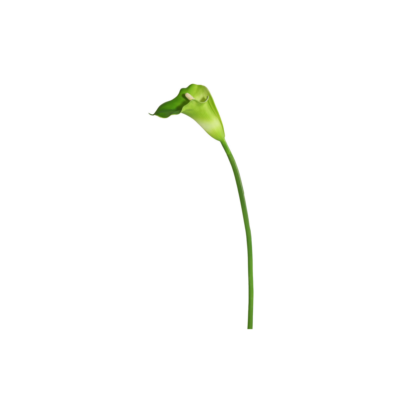 26" Artificial Calla Lily Stem, White/Green, 28" H x 5" W x 5" D