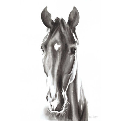 Le Cheval Noir