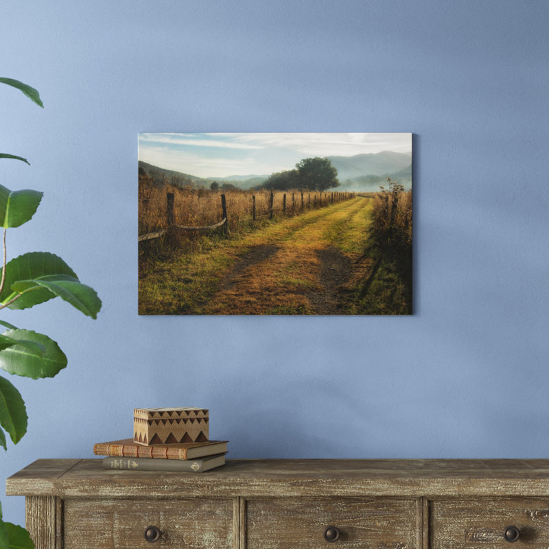 «Grassy Lane», photographie sur toile, H 20 po x l 30 po