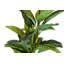 160cm Faux Banana Leaf Plant in Pot