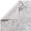 Aurora AU03 Solar Metallic Beige/Silver Area Rug-42147544