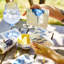 Starfish 100% Cotton Square Napkins
