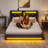 Bed Frame with LED Lights,Upholstered Wingback Storage Bed with Built-in Outlets & 4 Drawers-966201854-966201852