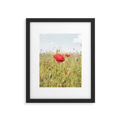 " Wildflower Field Poppy Flower "