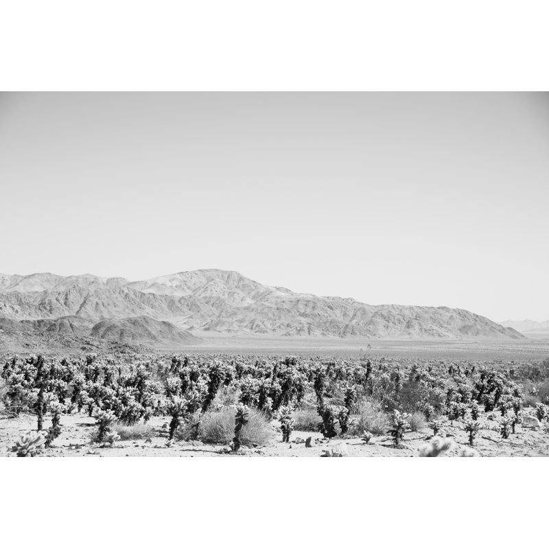 Road Trip IV Crop by Elizabeth Urquhart - Wrapped Canvas Print, 20cm H x 30cm W