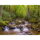 Water Flowing In River At Jones Gap, South Carolina Print by Brian Mc Clean