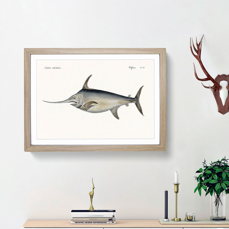 Blue Marlin by Georges Cuvier - Picture Frame Graphic Art Print, 27cm H x 36cm W x 2cm D, Oak Framed