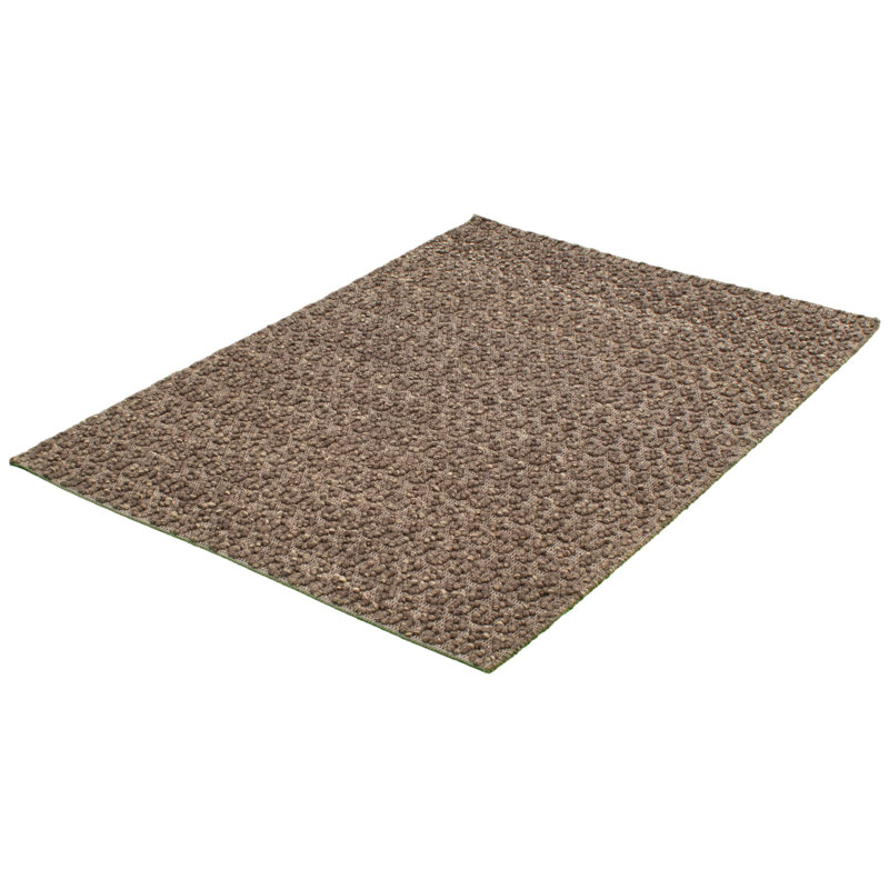Wool Oriental Indoor Rug
