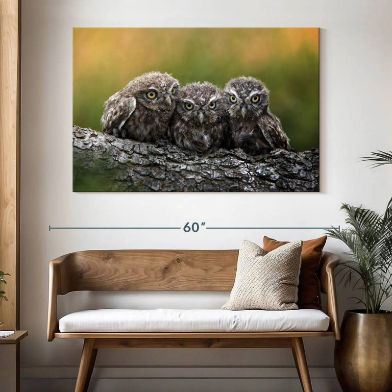 Brampt Snuggling Young Owls, 34" H x 51" W
