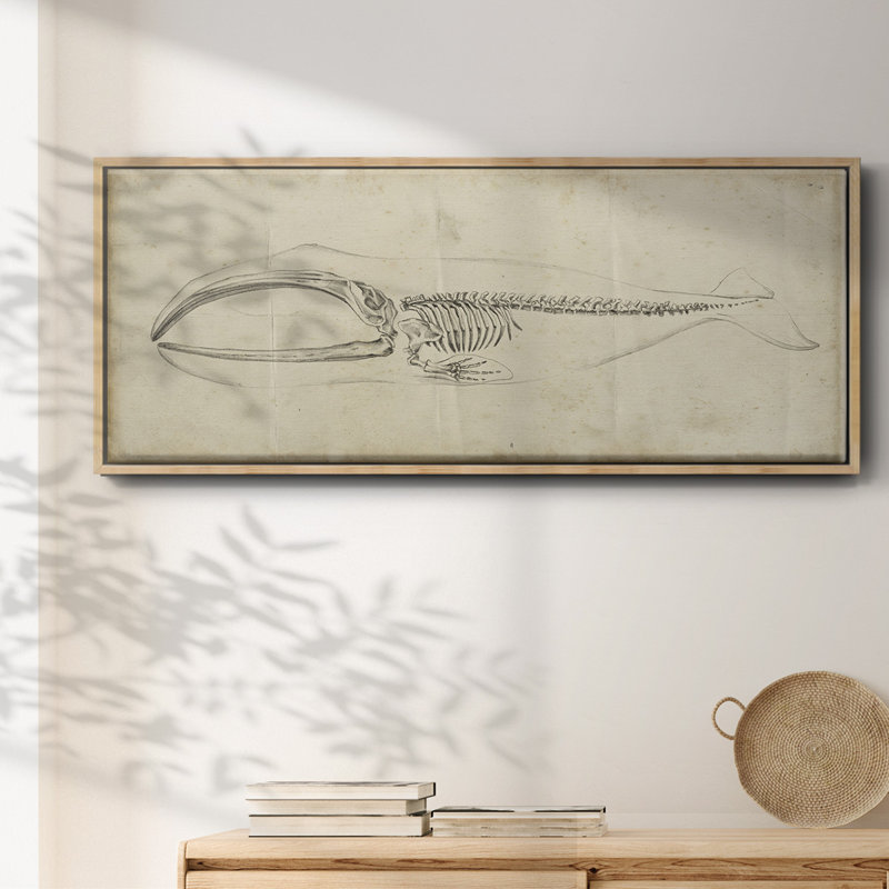 " Whale Study I ", Natural, 8" H x 20" W x 1.5" D