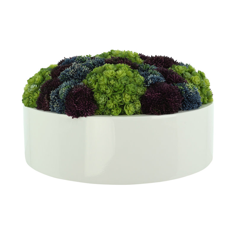 Arrangement de plantes grasses Sedum and Chick