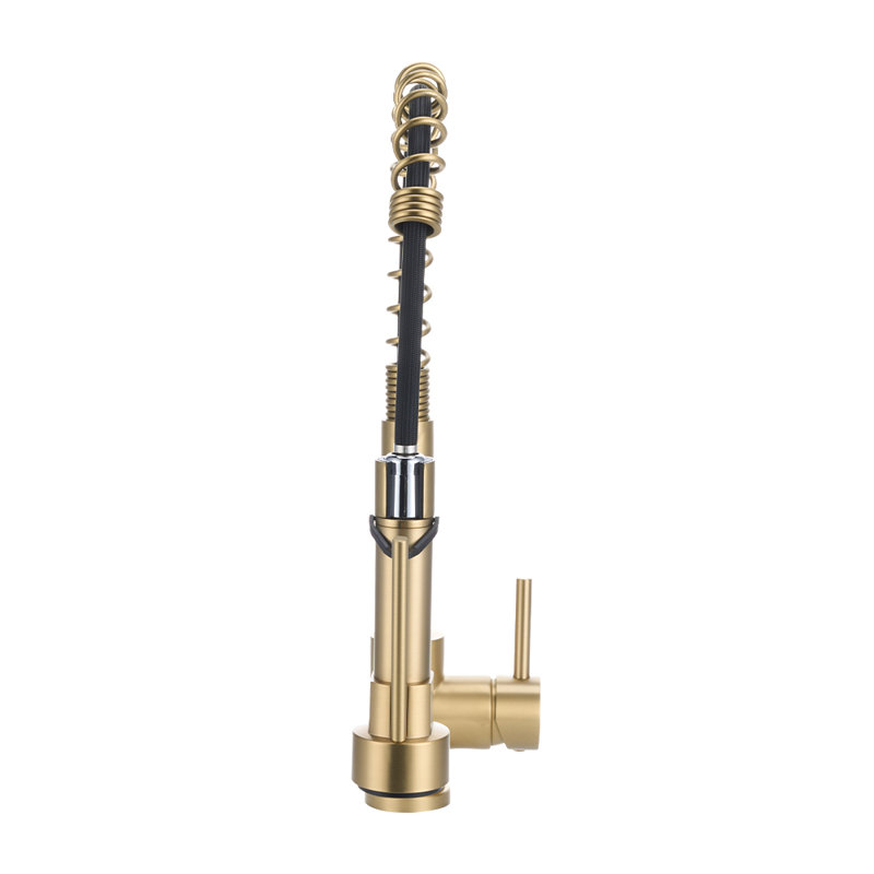 Belfry Kitchen Pull Out Kitchen Faucet, Gold