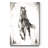 " Stallion II "-1057337308