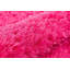 Tapis Tulisia-1164101563
