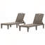 Chaises longues d'extérieur réglables 2 pièces en résine-1112263900