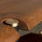 American style retro solid wood dining table.-109025467