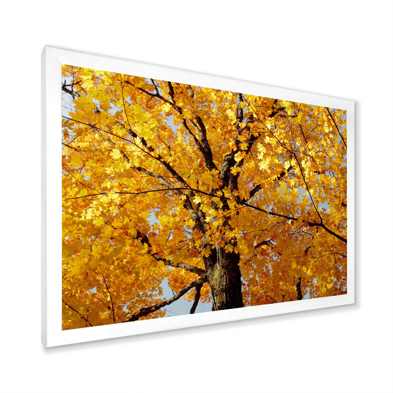 " Autumn Maple Tree ", 8" H x 12" W x 1" D, White Closed Corner Framed