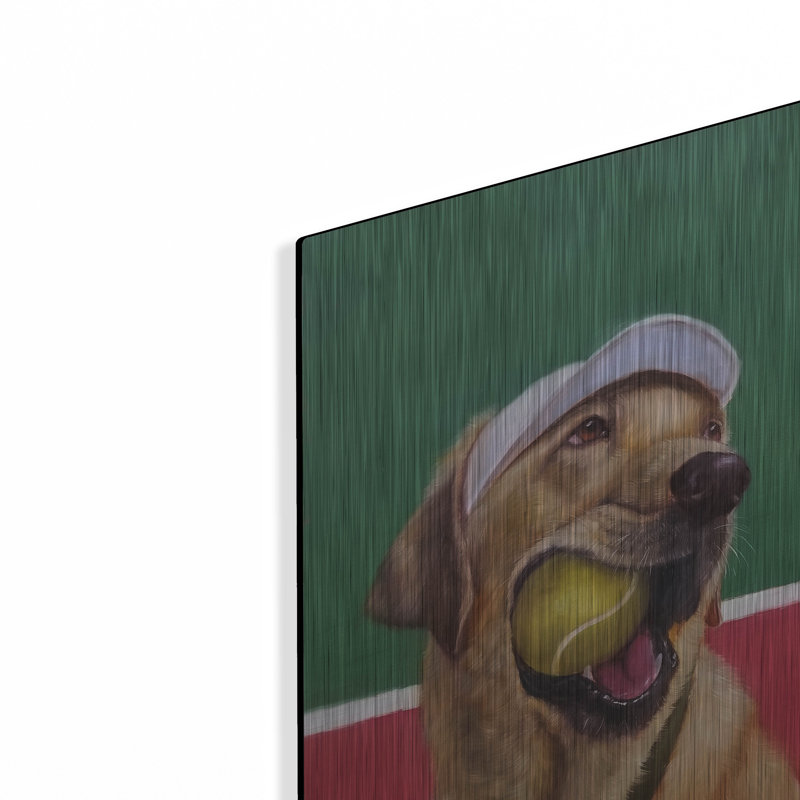 «Ball Hog» par Lucia Heffernan, H 16 po x l 24 po