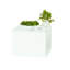 Cal-Mil Metal Display Riser Buffet Accessory