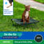 Lit pour animal de compagnie-66051684-66051686