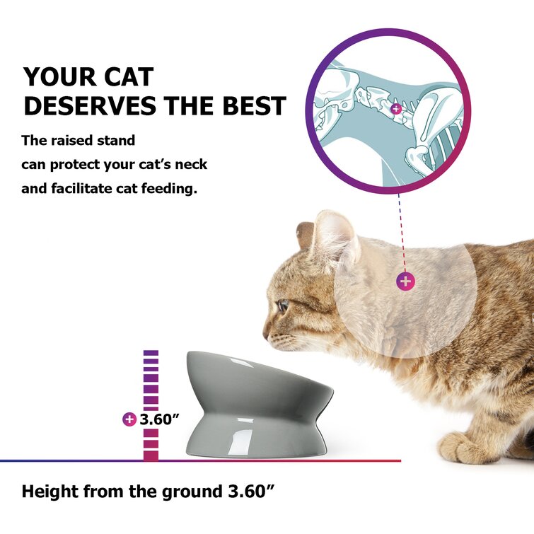 Y YHY Elevated Cat Food Bowl & Reviews