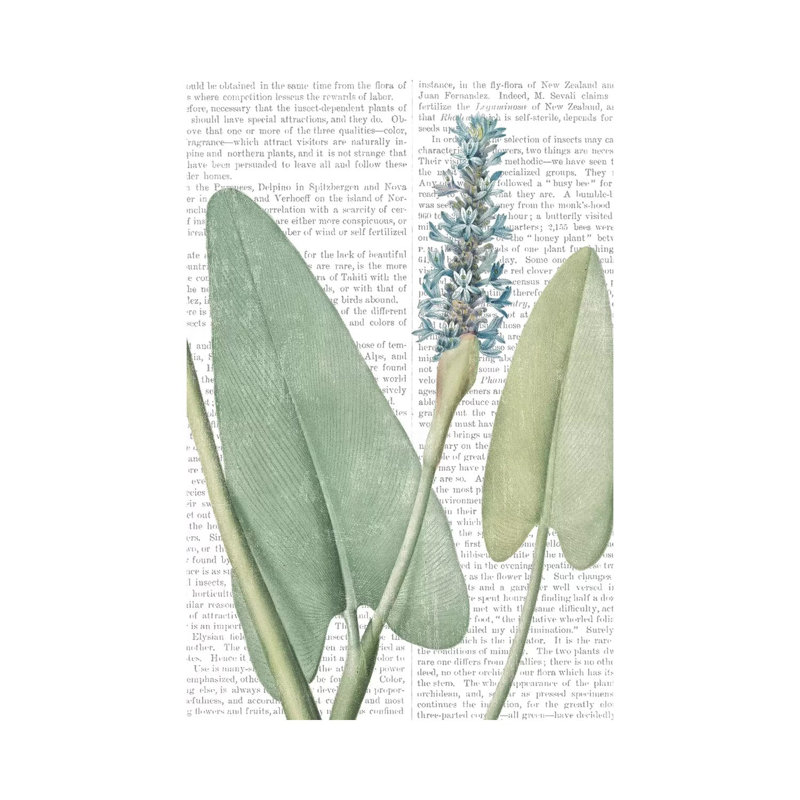 Summer Botanicals IV by Wild Apple Portfolio - Wrapped Canvas Painting, 66.04 cm H x 45.72 cm W x 3.175 cm D