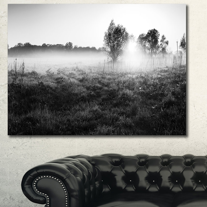 Rural Meadow in Mist Landscape Canvas Print in Multicolor