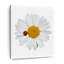 «Ladybug On Daisy», reproduction sur toile-70003927