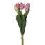  16" Purple/Cream Tulip Bundle 2/Bag.Includes two bundles of five tulips.-1800141900