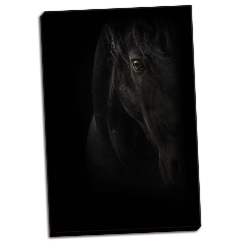 « black perle », impression, Toile tendue, H 18 po x l 12 po x P 1,5 po