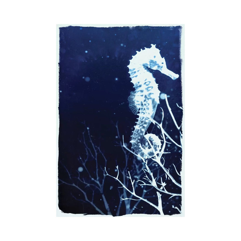 Indigo Seahorse by 33 Broken Bones - Wrapped Canvas Gallery-Wrapped Canvas Giclée, 20.32 cm H x 30.48 cm W