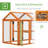 Chicken Run-113507493