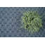 Ensemble de tapis intérieur / extérieur en polyester touffeté à la machine Ladashia-859161194