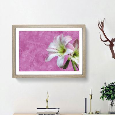 Pink and White Amaryllis Flower - Picture Frame Painting Print