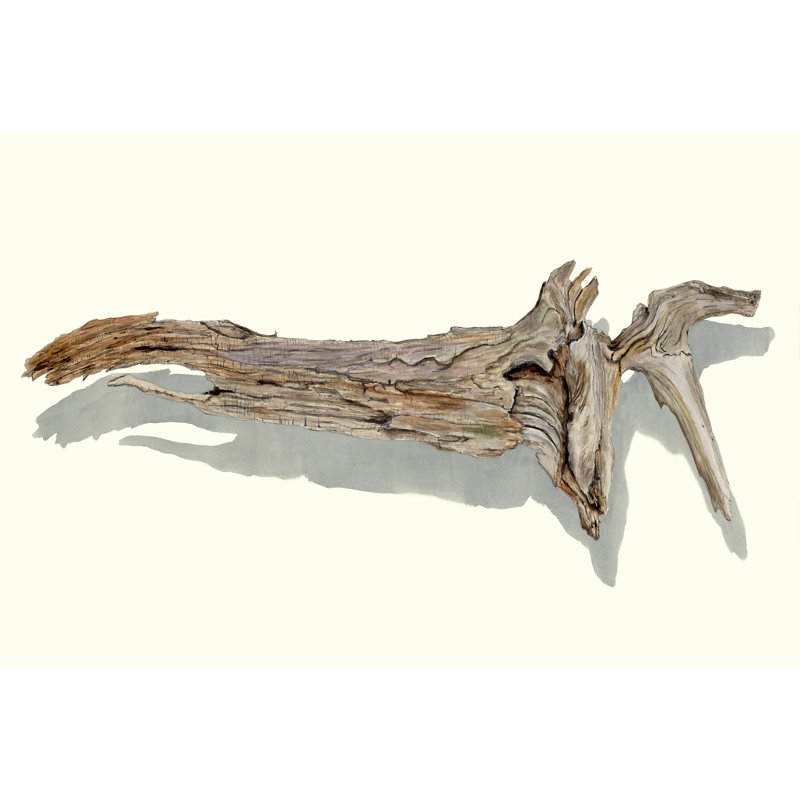 «Driftwood Study II», reproduction sur toile tendue, H 8 po x l 12 po