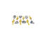 Blanken 6 Piece Stainless Steel Hostess Set-1688670165
