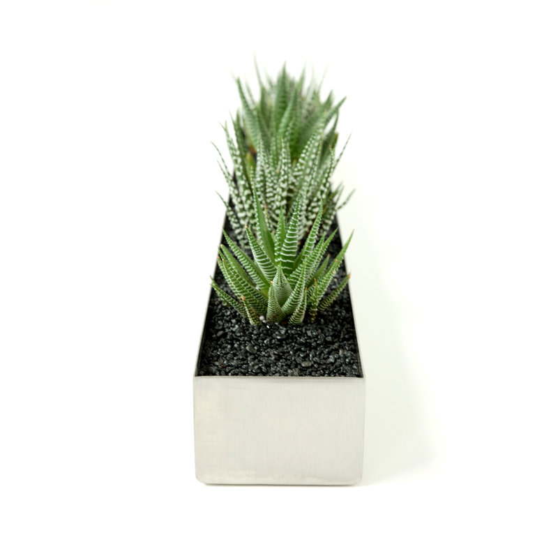 Fruit Trough, Vessel Planter Stainless Steel