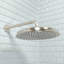 Raindance C 240 Shower Head-3609290-128767098