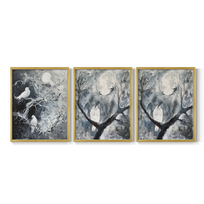 Framed GDf Set " Aviary Study Series III " by J Paul 3 - Pieces