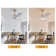 Iarlaith 48'' Ceiling Fan with LED Lights