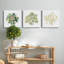 «Succulent Cameo VI», ensemble de 3 toiles tendues-576504322