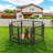 Iron Yard Kennel-101515248