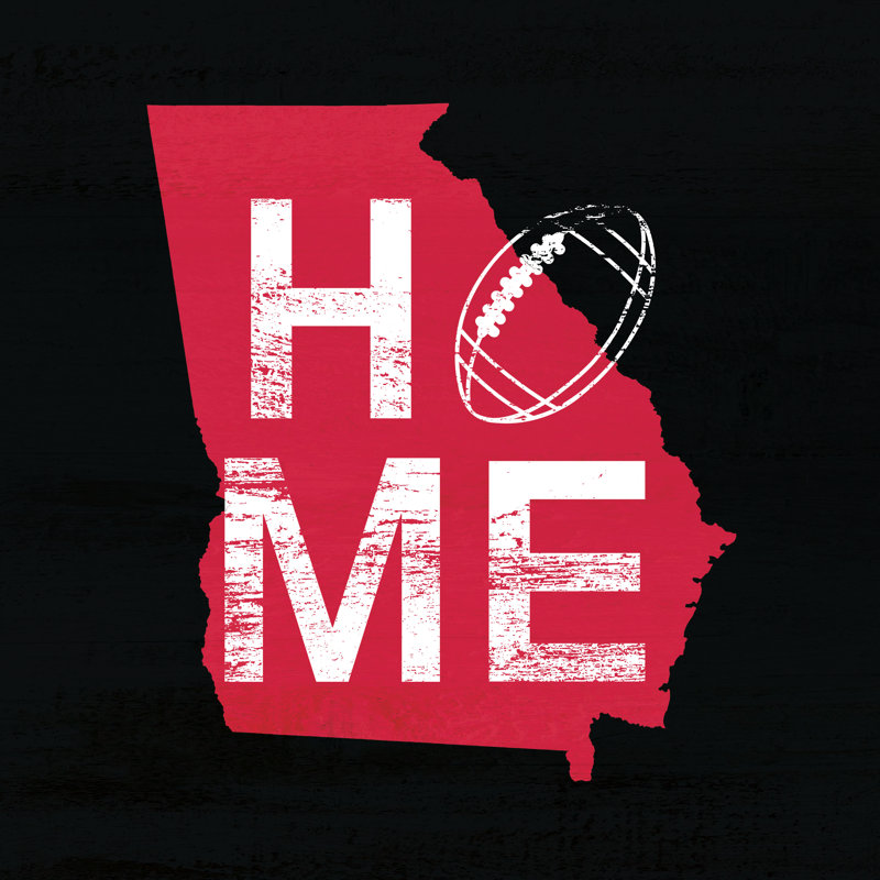 Home Football Falcons - Wrapped Canvas Print,  122cm H  x 122cm W 