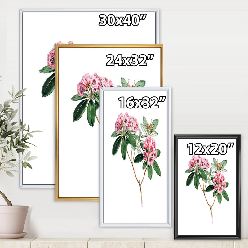 Flore américaine rétro II - peinture sur toile, H 20 po x l 12 po x P 1po, Cadre flottant blanc