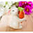 Bunny & Carrot Salt & Pepper Shaker