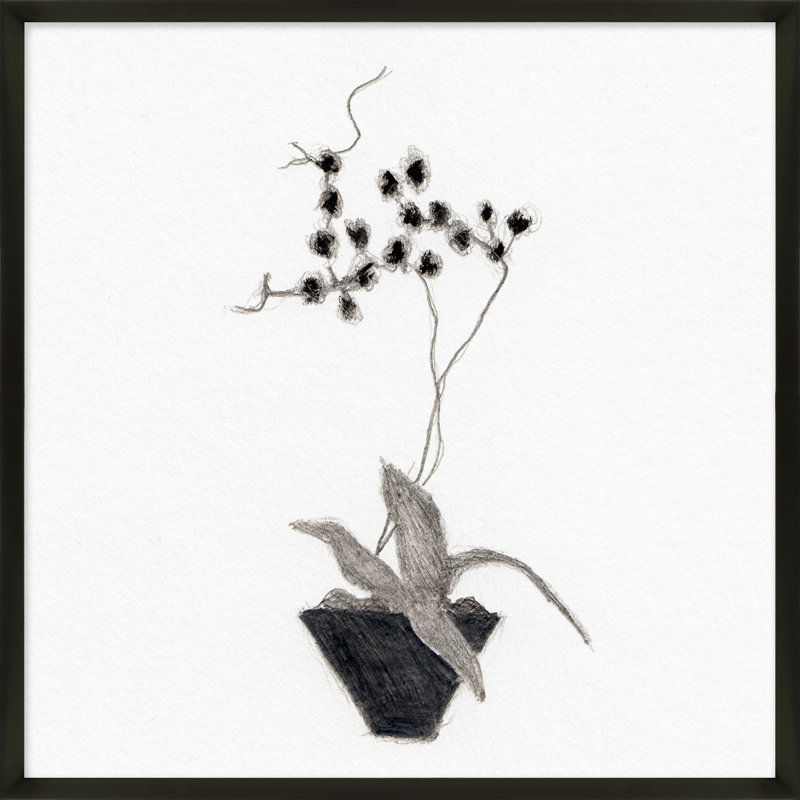 Orchid Study 2 Print by Simon Schneiderman, 30" H x 30" W x 1.25" D, Black Wood