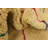 Iraheta Cream Rug