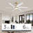 64" Ceiling Fan With LED Lights, Remote Control and Quiet Reversible DC Motor